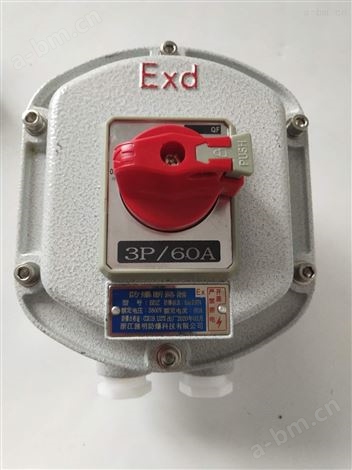 BDZ52-100A/4P带漏电防爆断路器