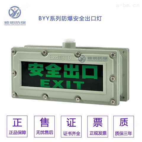 YA-BLED-T1LROE3W-2 AC220V安全出口指示灯