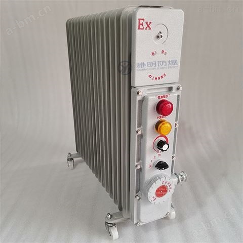 BYT-ExdⅡBT4型号3000W15片防爆电热油汀